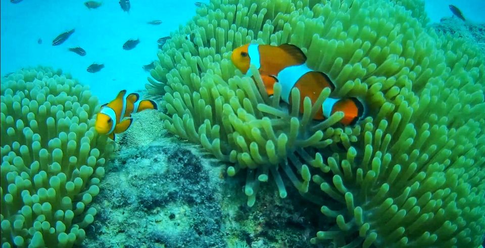Photo of Holidaying at Havelock Island Beach Resort- A memorable experience by Wander with Sakshi