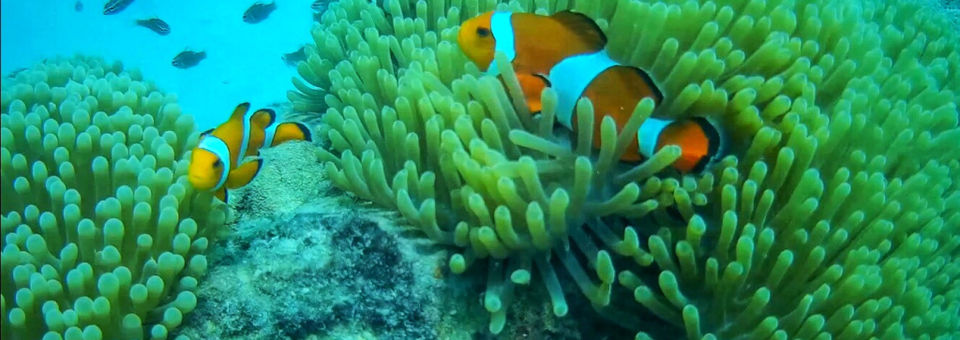 Photo of Experiencing Andaman with Andaman Island Travels by Wander with Sakshi