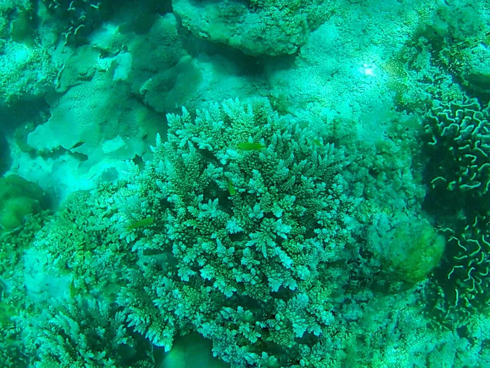 Photo of Experiencing Andaman with Andaman Island Travels by Wander with Sakshi