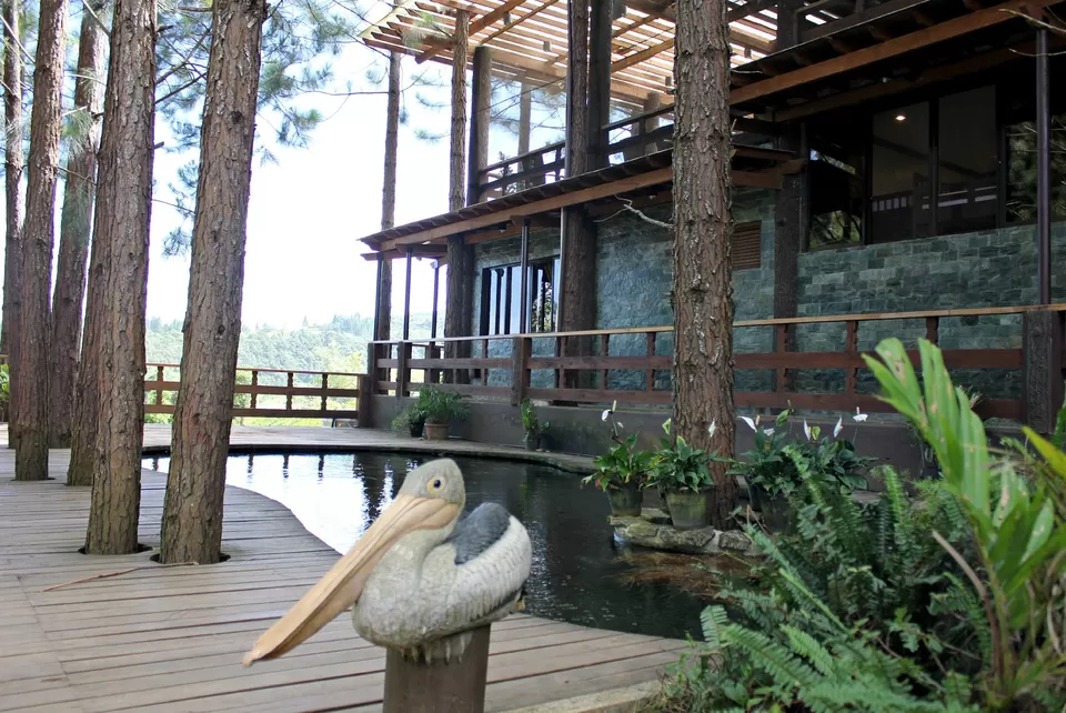 Photo of Dahilayan Adventure Park, Manolo Fortich, Northern Mindanao, Philippines by JLord Mirafuentes