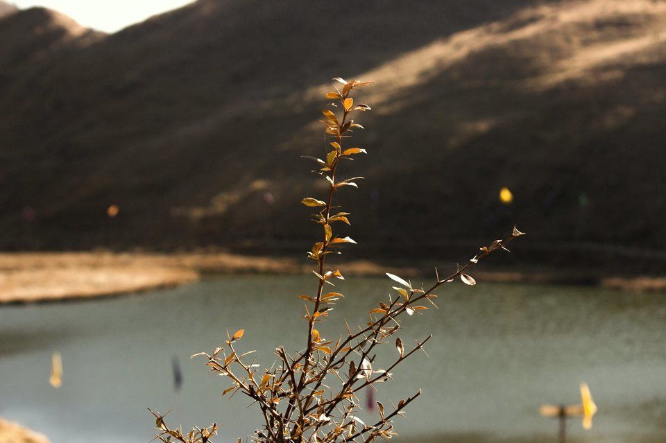 Photo of Prashar Lake Camps - Himachal Trekkers, Tarna, Mandi, Himachal Pradesh, India by Arundhuti Adhikari