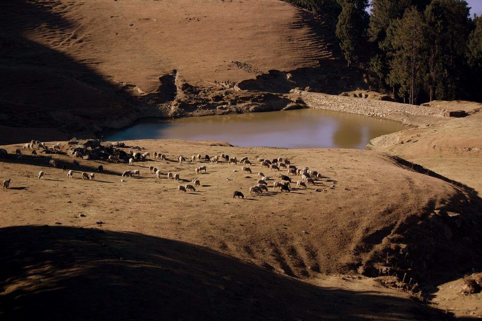 Photo of Prashar Lake Camps - Himachal Trekkers, Tarna, Mandi, Himachal Pradesh, India by Arundhuti Adhikari