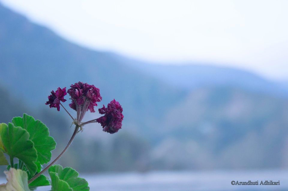 Photo of Dal Lake-Mcleod Ganj, McLeod Ganj, Himachal Pradesh, India by Arundhuti Adhikari