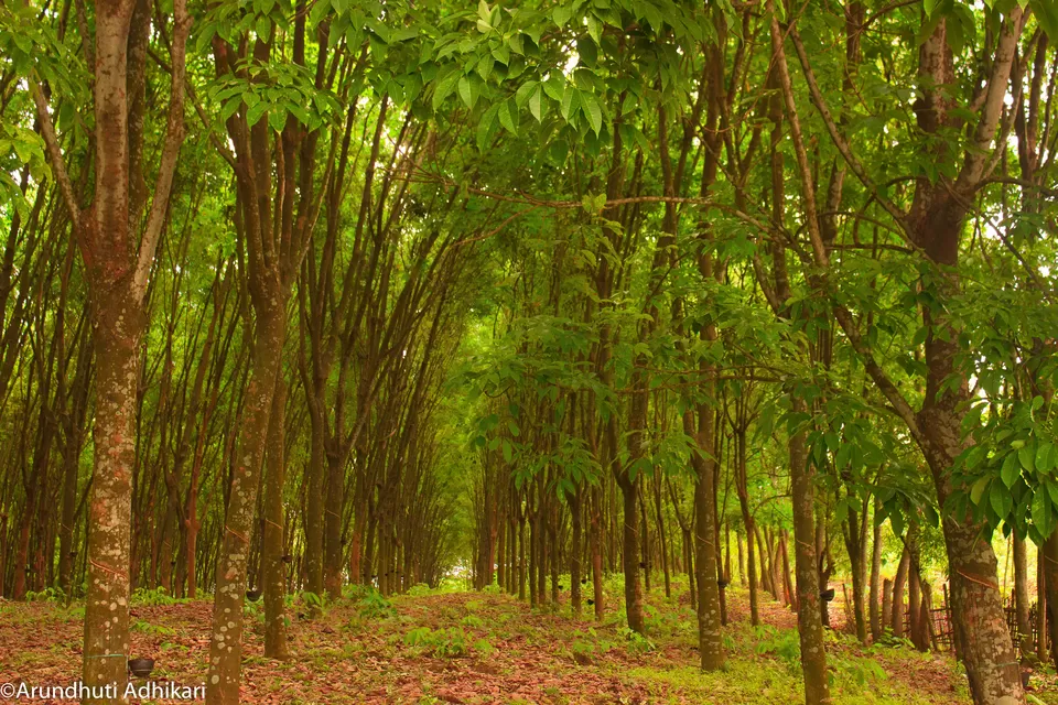 Photo of Agartala, Tripura, India by Arundhuti Adhikari