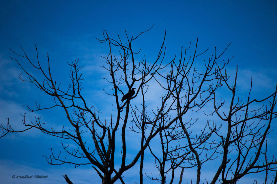 Photo of Tripura-Color of Monsoon by Arundhuti Adhikari