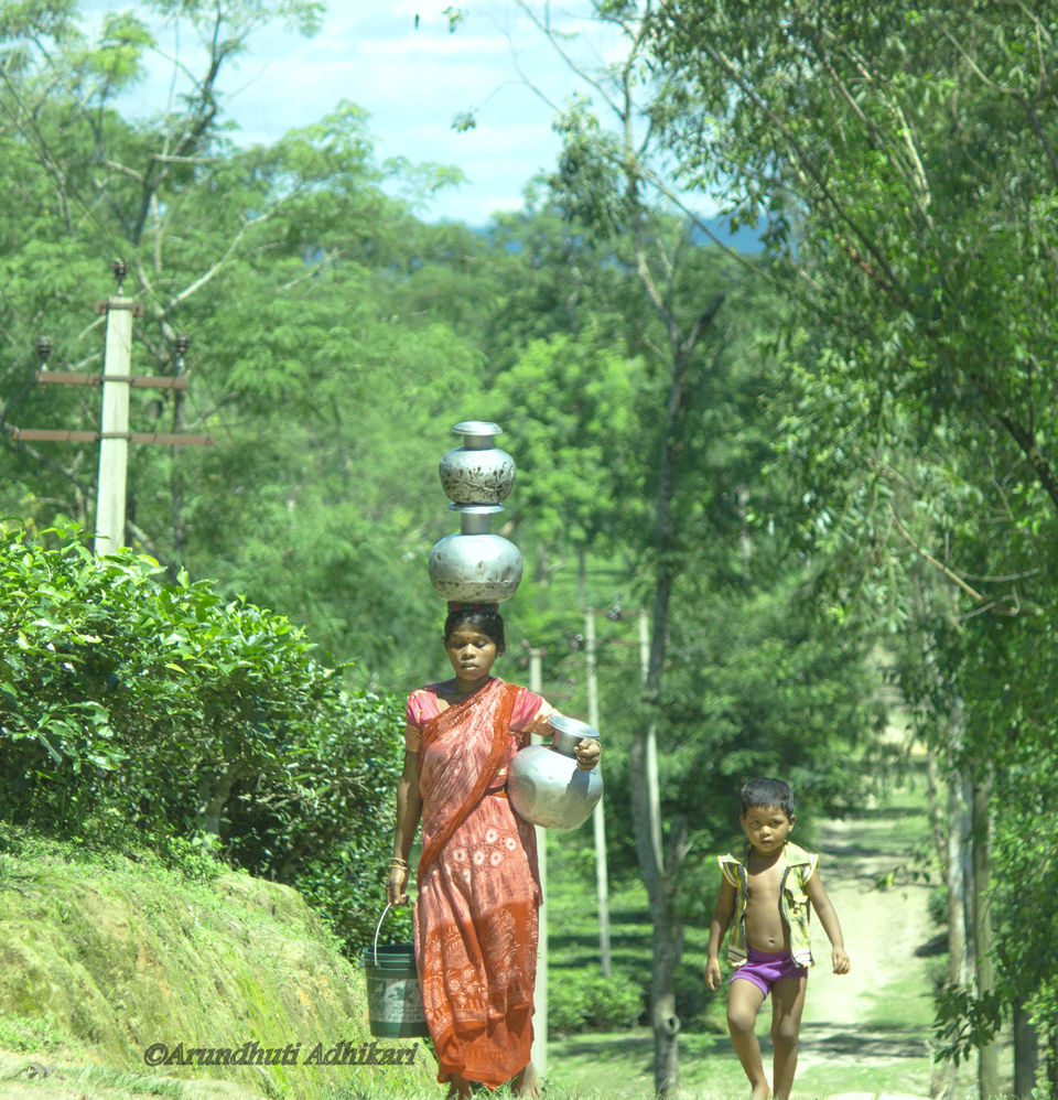 Photo of Tripura-Color of Monsoon by Arundhuti Adhikari
