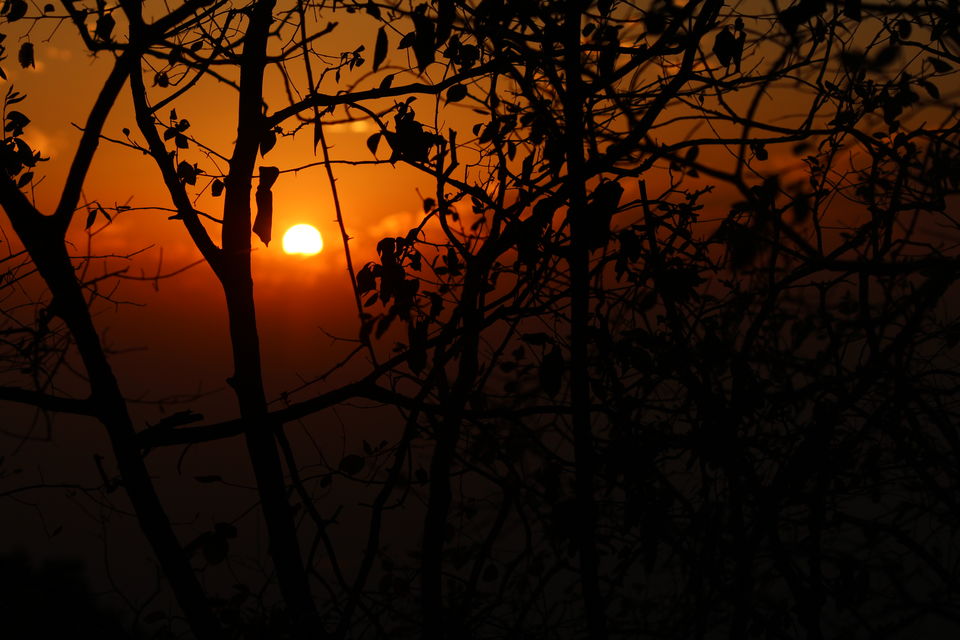 Photo of An Escape to Mt Abu 1/2 by subham dhar