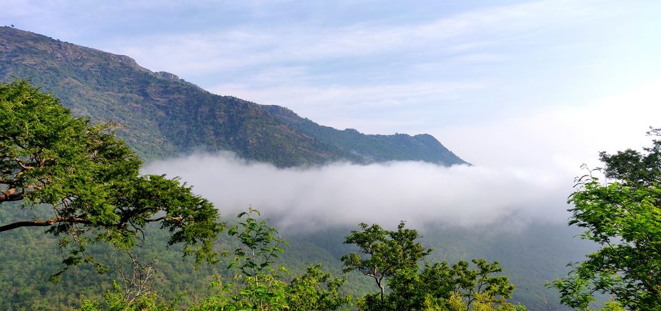 Photo of Nilgiri Mountains, Jagathala, Tamil Nadu by Rohini