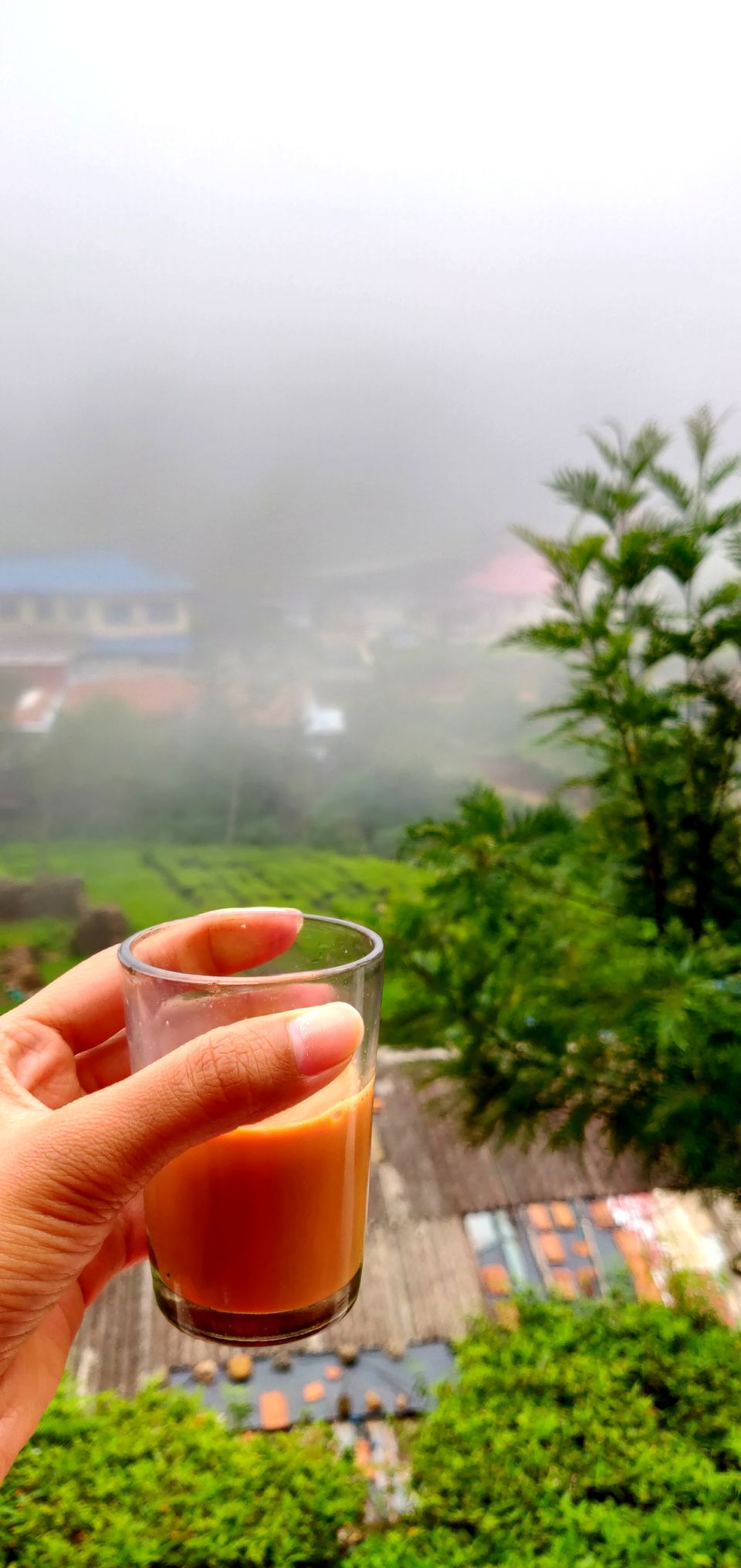 Photo of Nilgiri Mountains, Jagathala, Tamil Nadu by Rohini