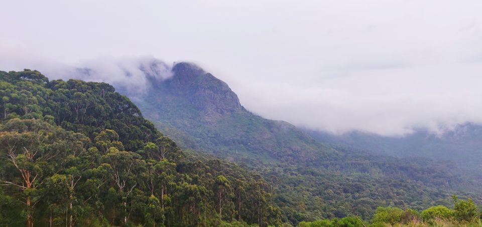 Photo of Nilgiri Mountains, Jagathala, Tamil Nadu by Rohini