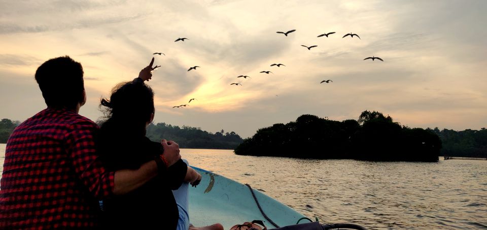Photo of Madu River Safari, Balapitiya, Sri Lanka by Rohini