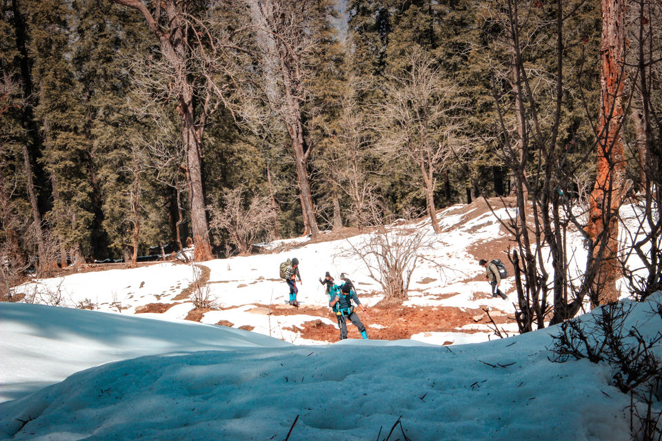 Photo of KEDARKANTHA TREK - LIFE CHANGING EXPERIENCE 3/18 by Sagar | TRAVELOSAGA