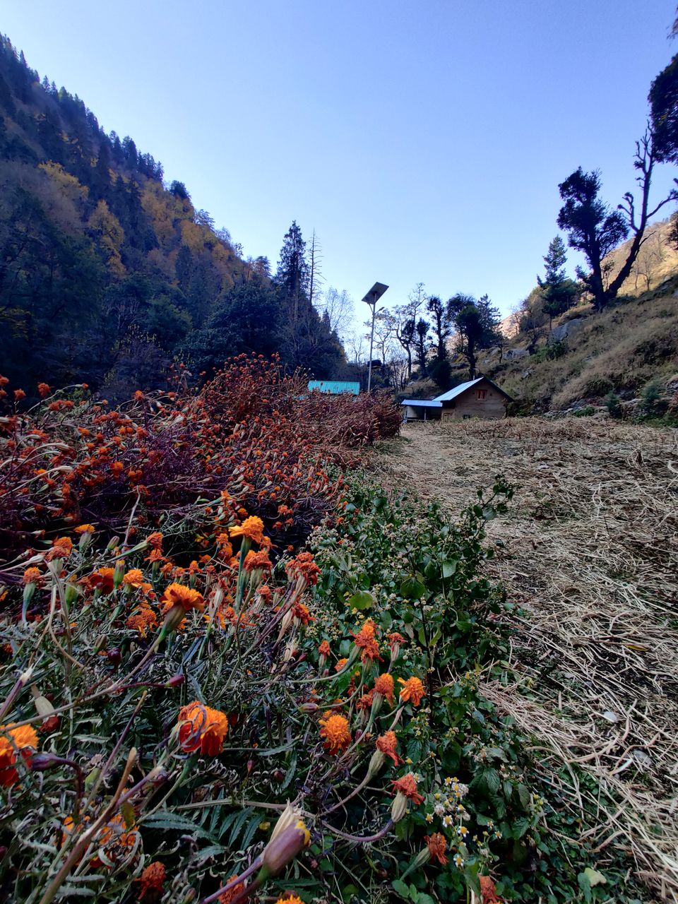 Photo of Explore Hidden remote gems of 3 valleys in HIMACHAL - VIRTUAL TOUR 25/84 by Sagar | TRAVELOSAGA
