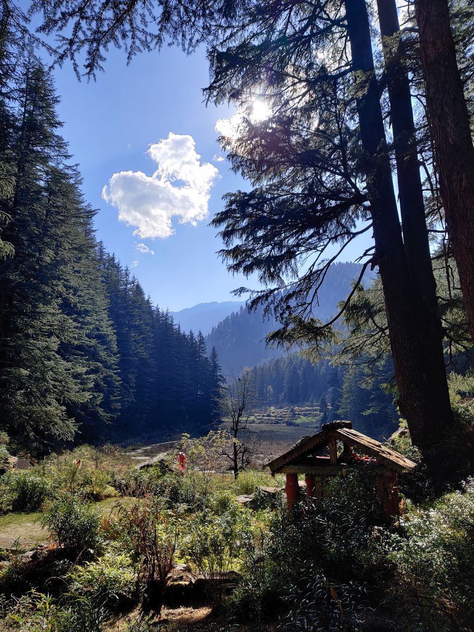 Photo of Explore Hidden remote gems of 3 valleys in HIMACHAL - VIRTUAL TOUR 56/84 by Sagar | TRAVELOSAGA