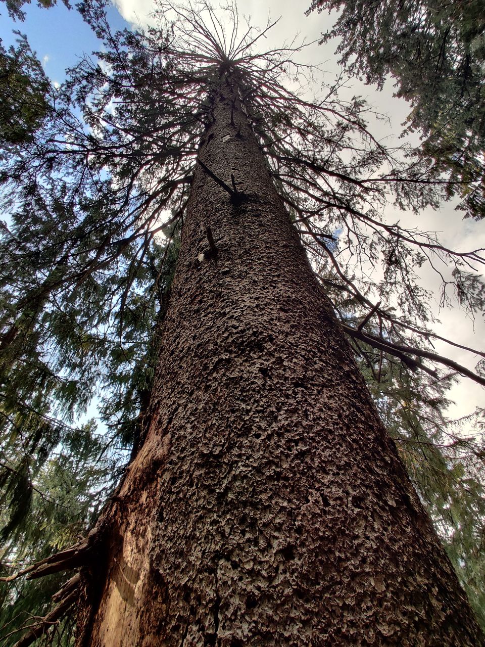 Photo of Explore Hidden remote gems of 3 valleys in HIMACHAL - VIRTUAL TOUR 62/84 by Sagar | TRAVELOSAGA