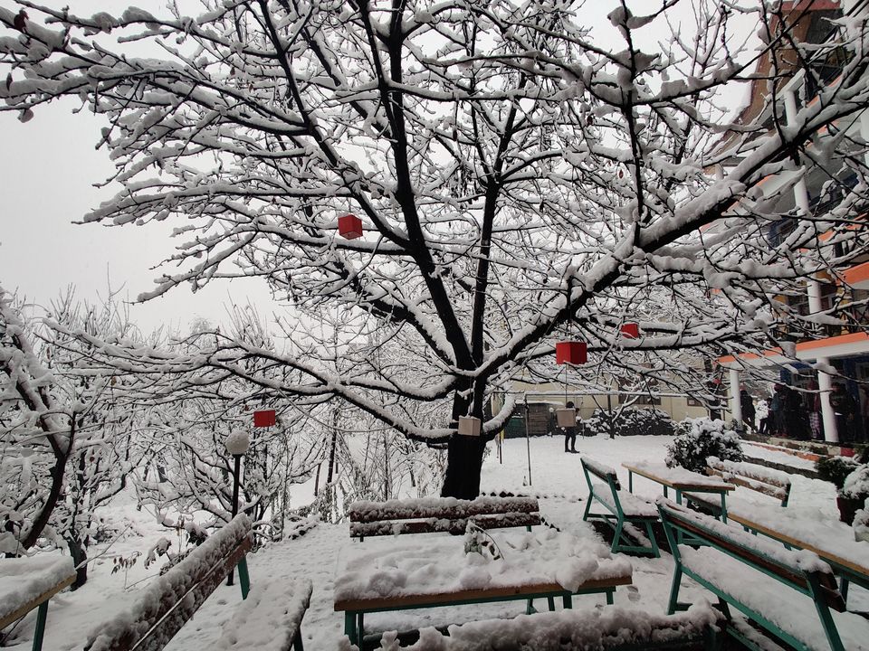 Photo of Explore Hidden remote gems of 3 valleys in HIMACHAL - VIRTUAL TOUR 71/84 by Sagar | TRAVELOSAGA