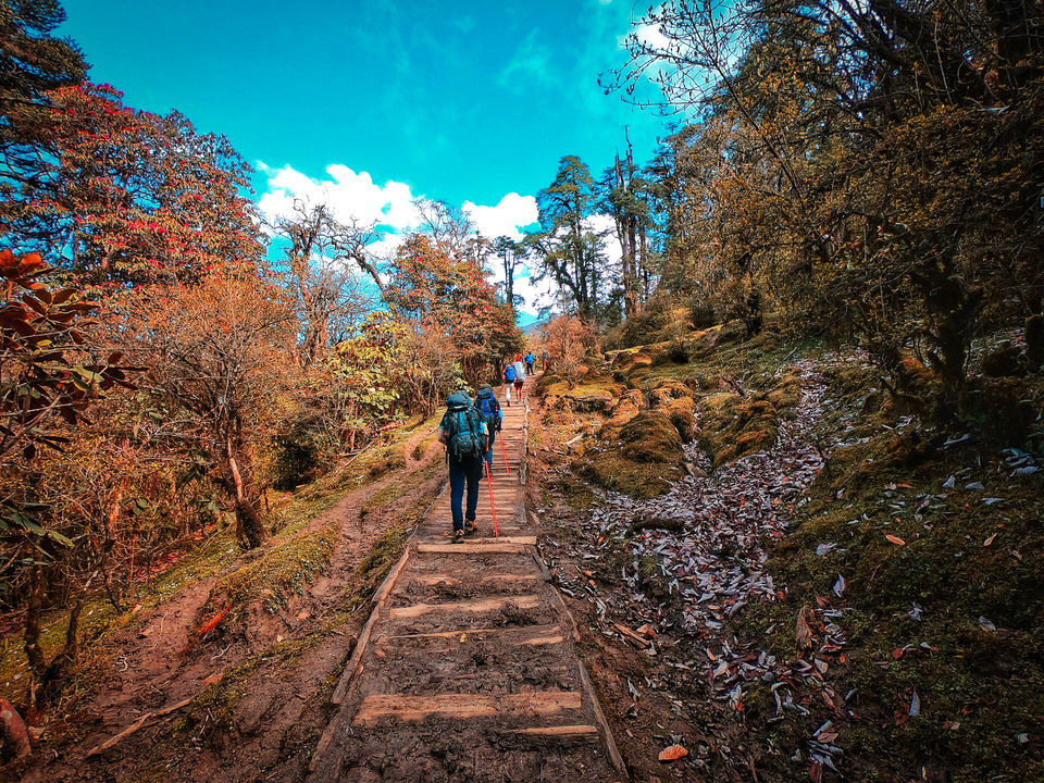 Photo of Trek to SAMITI lake, Goecha La - PHOTO BLOG #northeastindia 4/8 by Sagar | TRAVELOSAGA