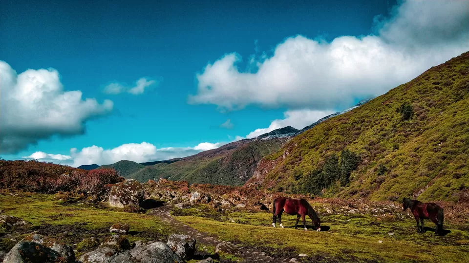 Photo of Trek to SAMITI lake, Goecha La - PHOTO BLOG #northeastindia by Sagar | TRAVELOSAGA