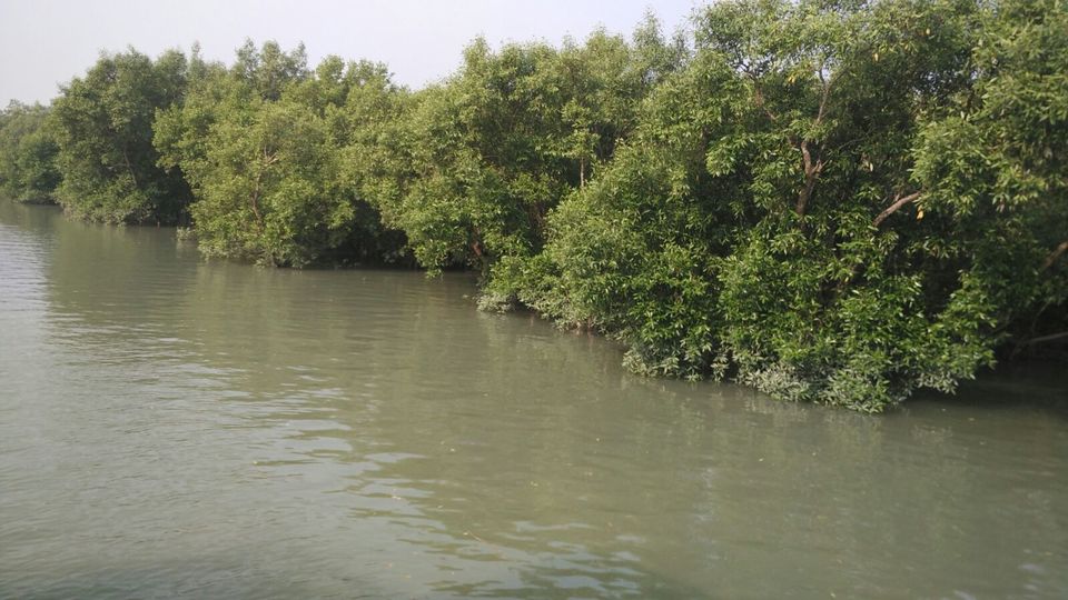 Photo of Henry’s Island: A Four-hour Ride to Paradise 3/9 by Kamalika Pramanik