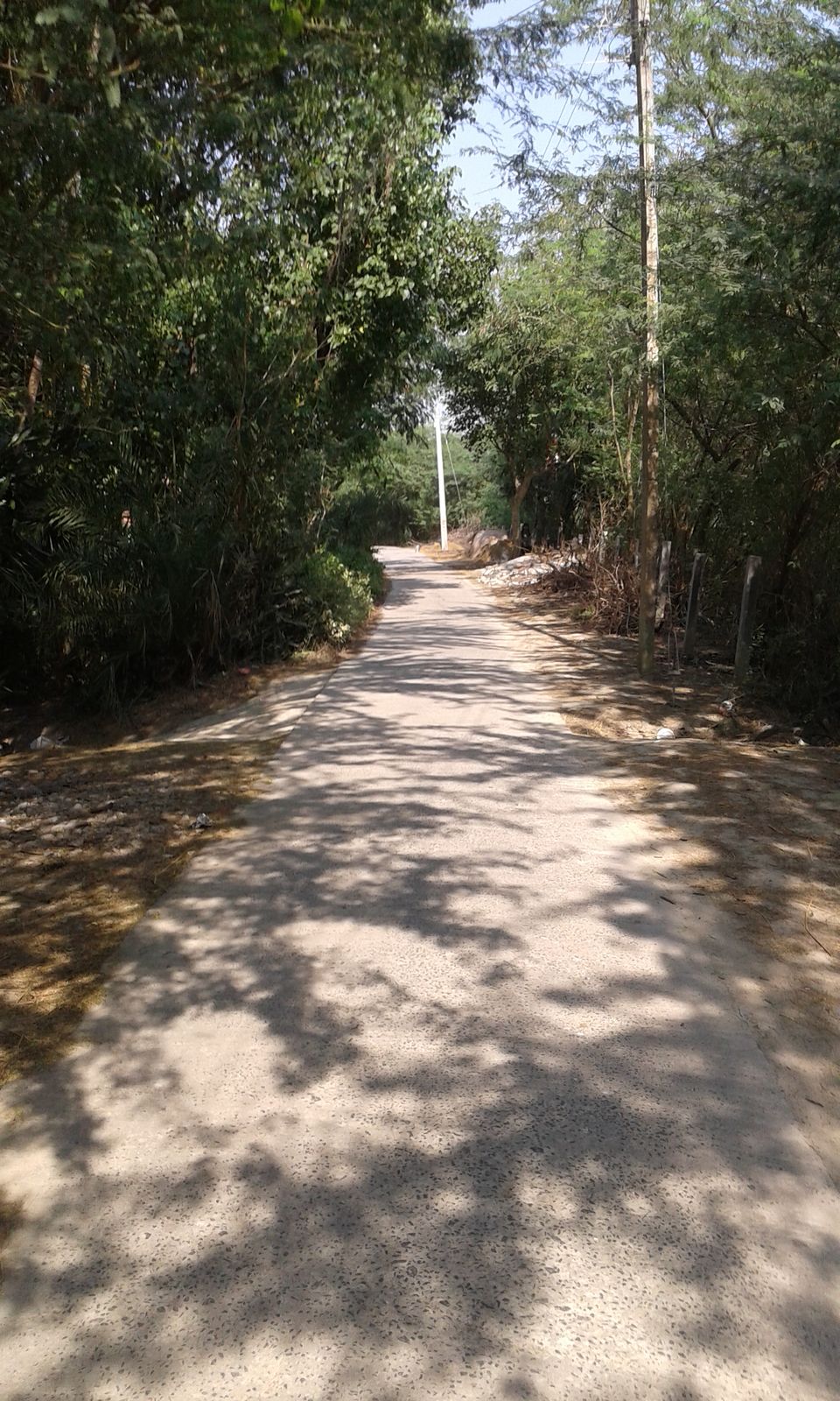 Photo of Henry’s Island: A Four-hour Ride to Paradise 5/9 by Kamalika Pramanik