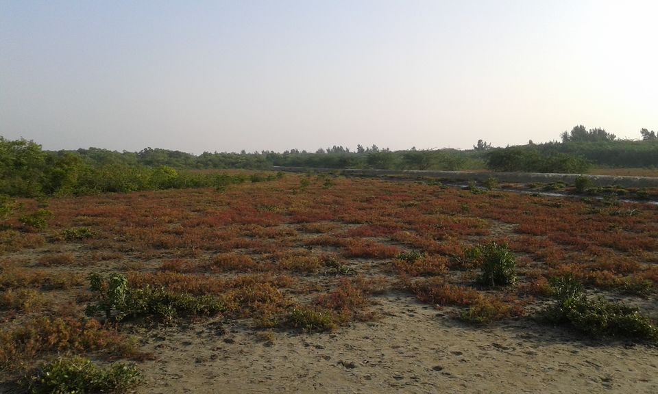 Photo of Henry’s Island: A Four-hour Ride to Paradise 6/9 by Kamalika Pramanik
