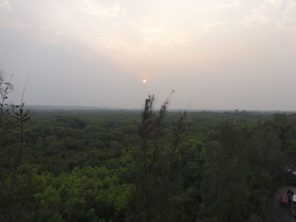 Photo of Henry’s Island: A Four-hour Ride to Paradise 8/9 by Kamalika Pramanik