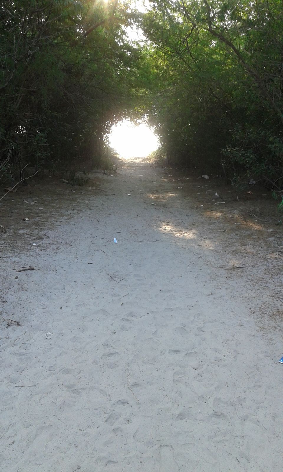 Photo of Henry’s Island: A Four-hour Ride to Paradise by Kamalika Pramanik