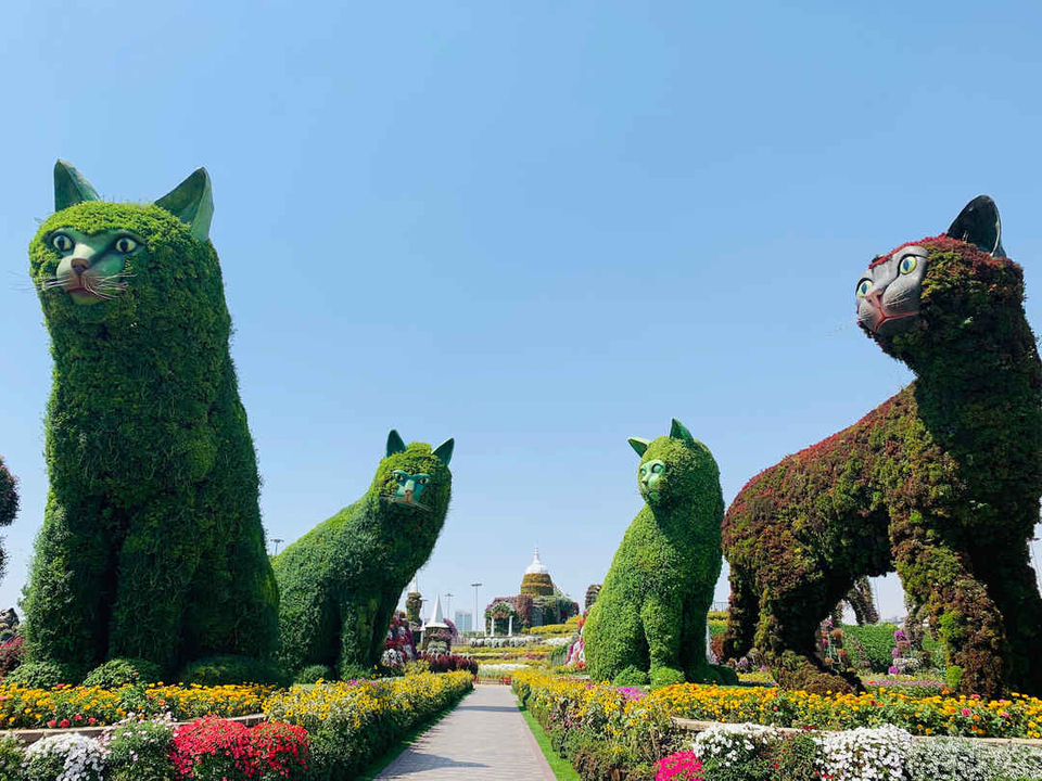 Photo of Dubai Garden Glow Season-5 is Now Open - Dubai - United Arab Emirates by Yellowhighways