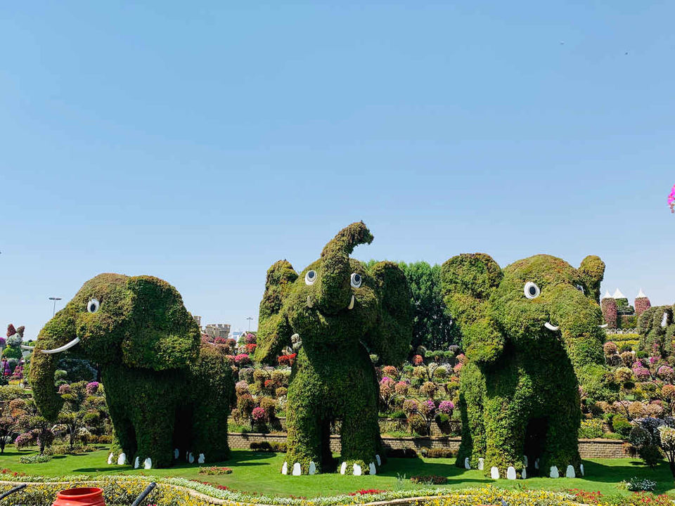 Photo of Dubai Garden Glow Season-5 is Now Open - Dubai - United Arab Emirates by Yellowhighways
