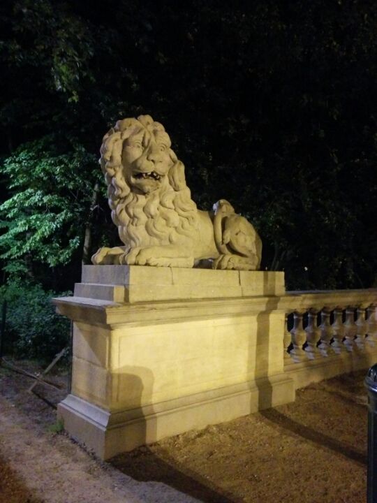 Photo of Lovely Belgium 9/47 by Shreyasta Samal