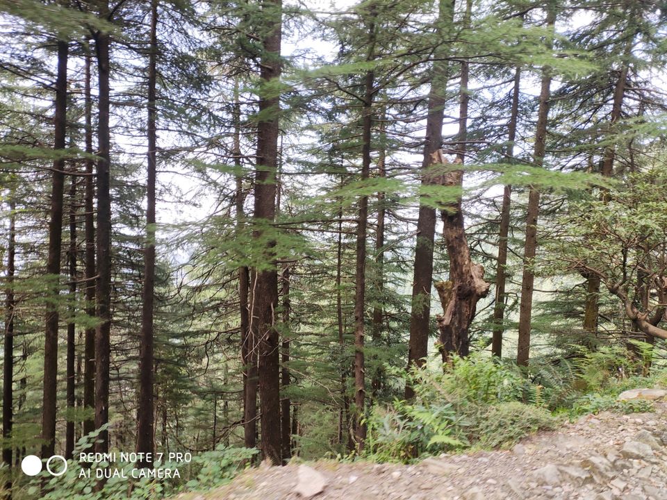 Photo of Triund, Himachal Pradesh by Mr. traveller