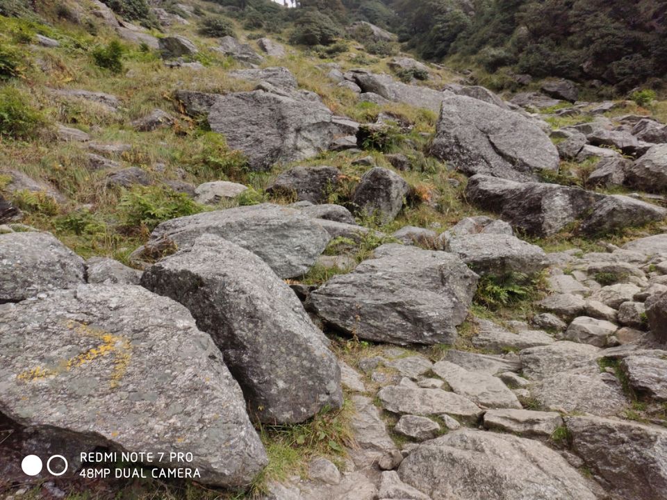 Photo of Triund, Himachal Pradesh by Mr. traveller