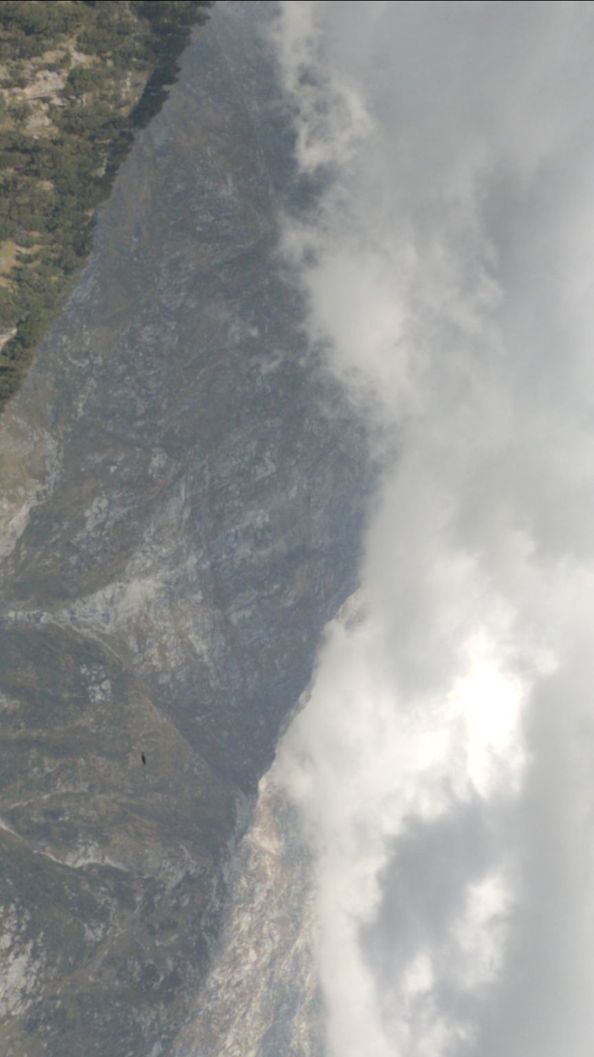 Photo of Triund, Himachal Pradesh by Mr. traveller