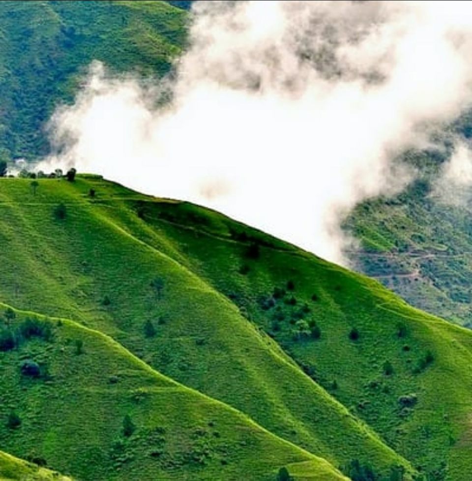 Photo of Chail, Himachal Pradesh, India by Mr. traveller