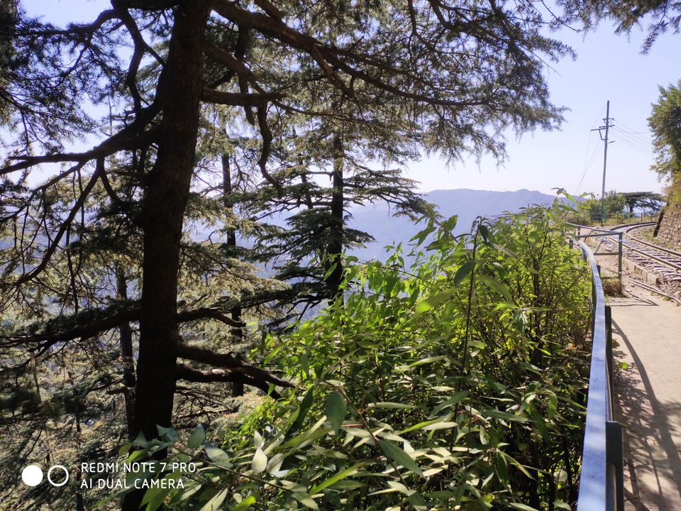 Photo of Chail, Himachal Pradesh, India by Mr. traveller