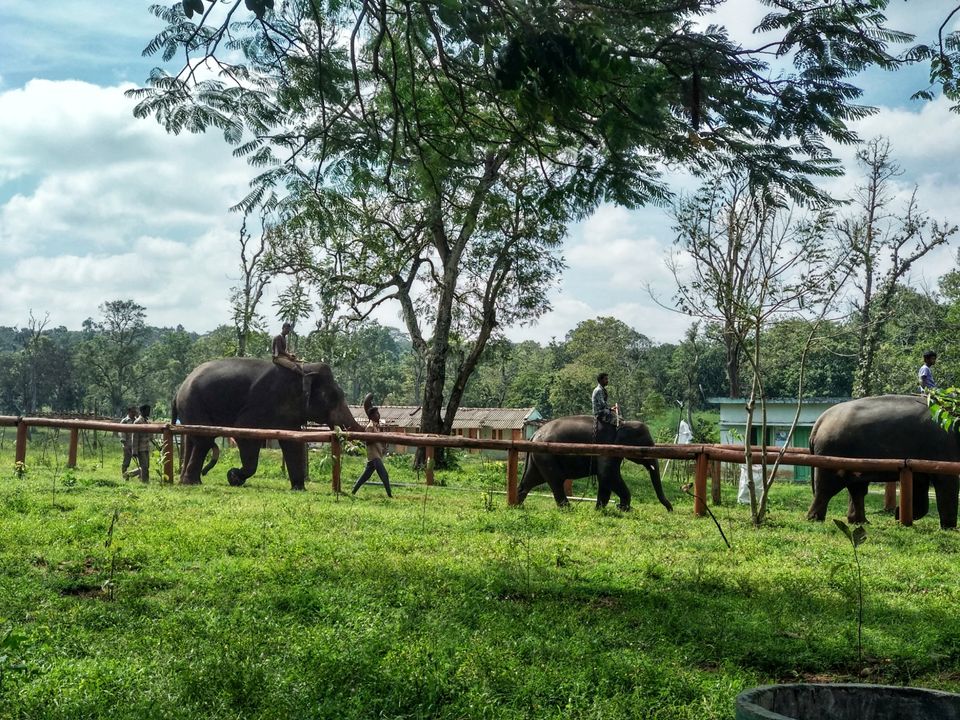 Photo of Hill station to the rescue - Madikeri by Ashwini Ramesh