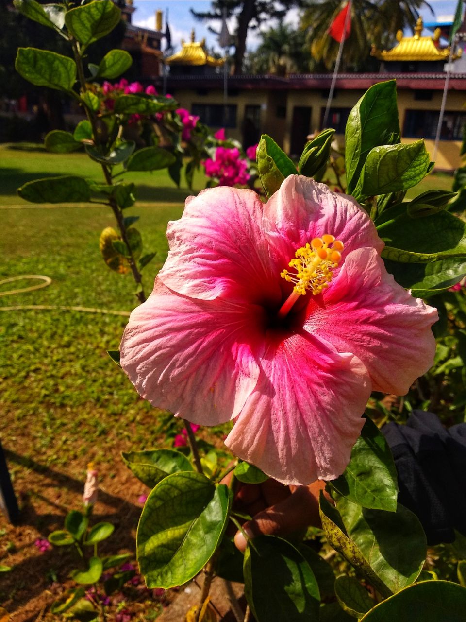 Photo of Hill station to the rescue - Madikeri by Ashwini Ramesh