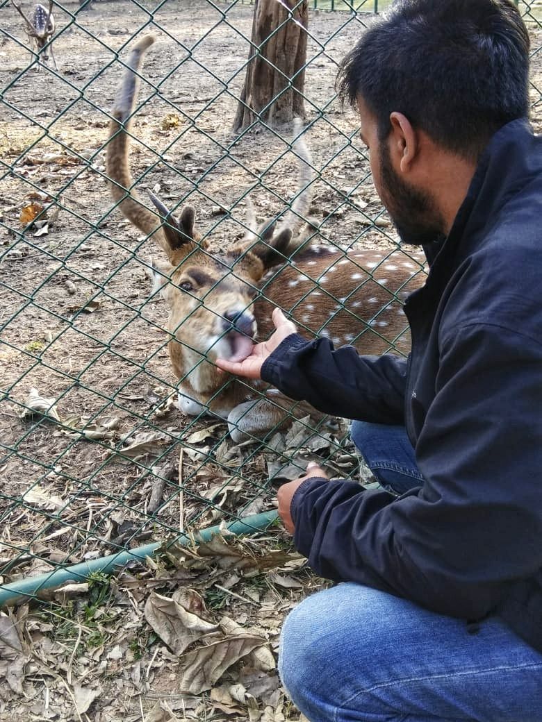 Photo of Hill station to the rescue - Madikeri by Ashwini Ramesh