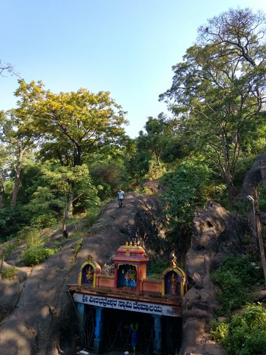Photo of Chikmangaluru.. by abhinay
