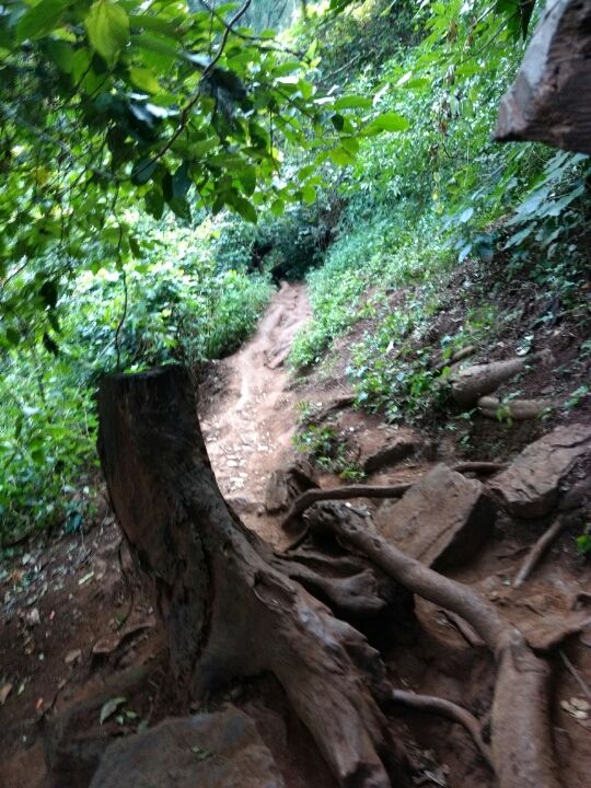 Photo of Chikmangaluru.. by abhinay