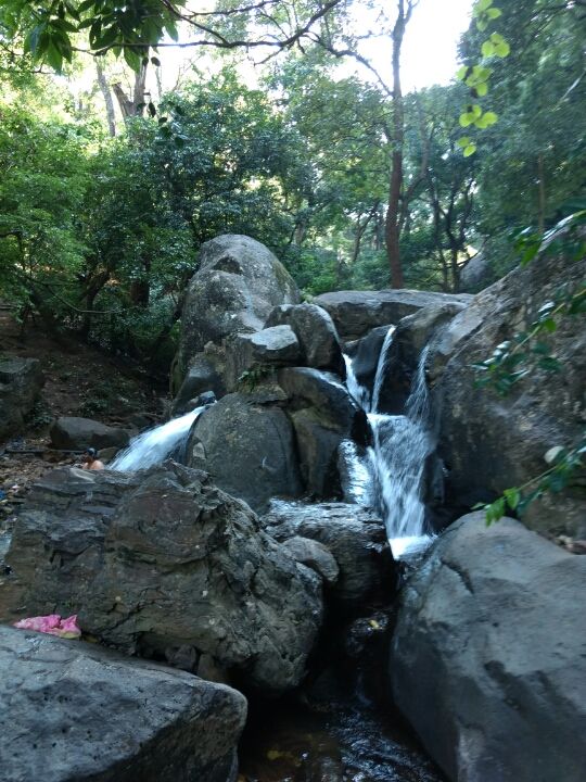 Photo of Chikmangaluru.. by abhinay