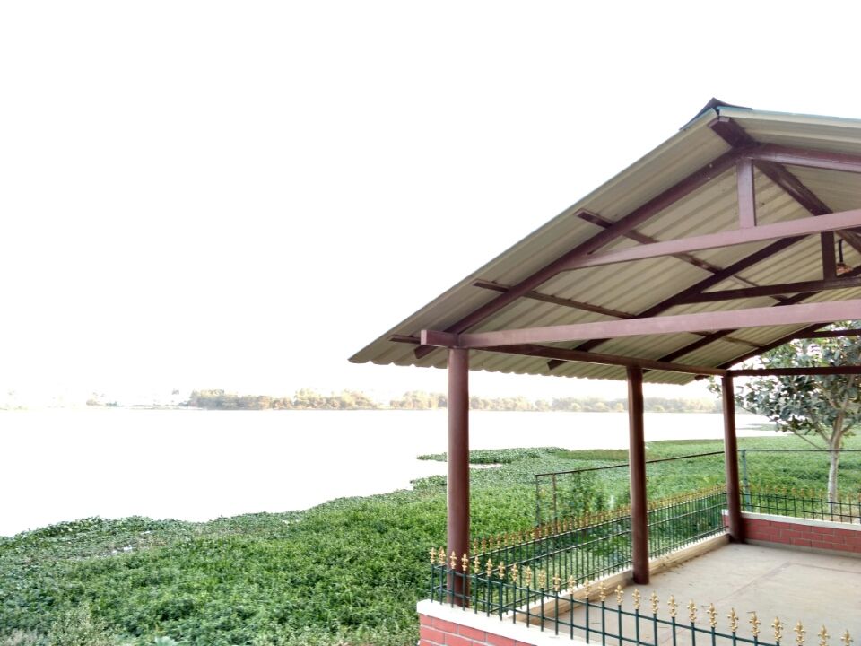 Photo of Madiwala Lake/ BTM Lake - A Hidden lake of South Bangalore by abhinay