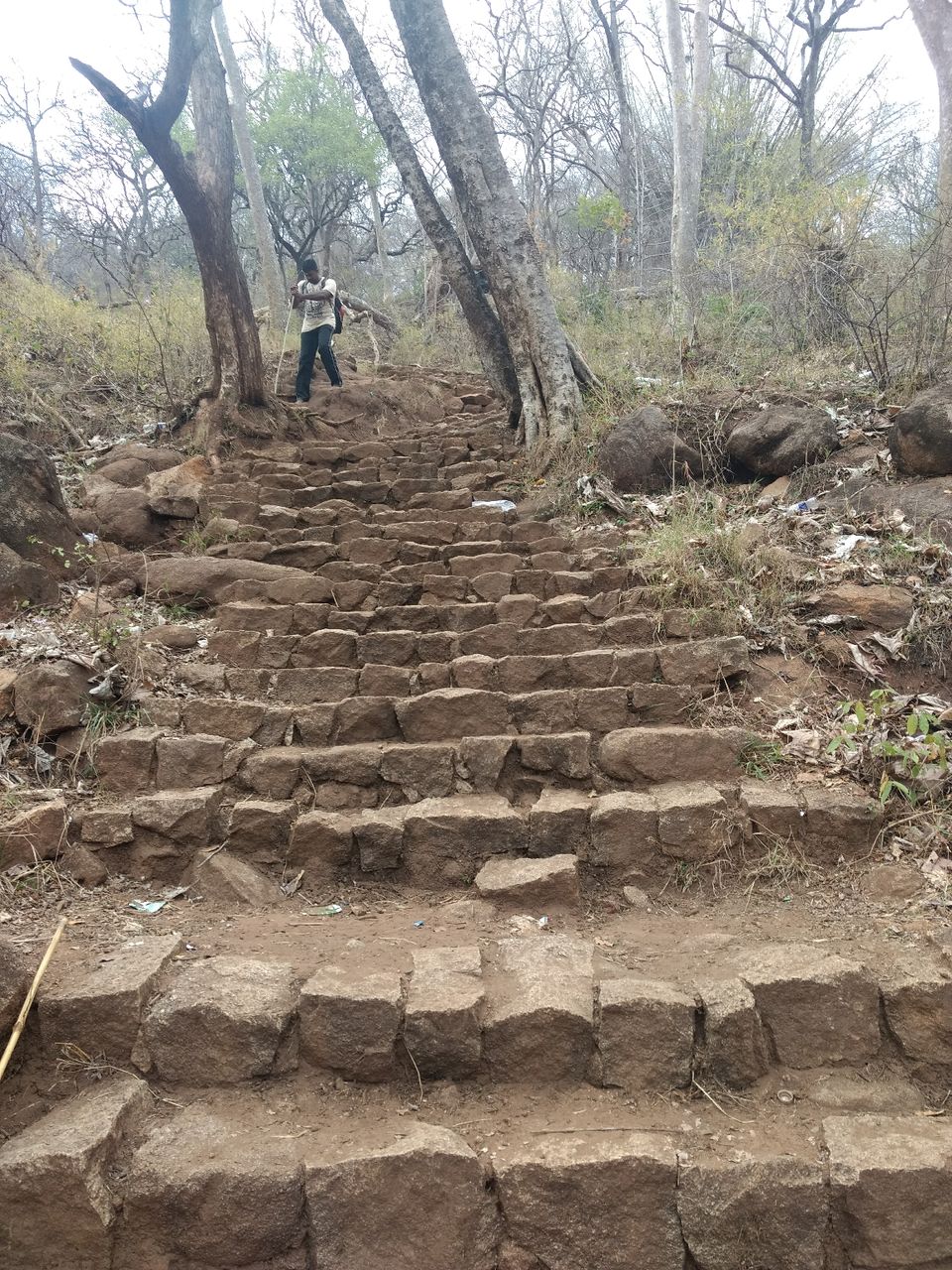 Velliangiri Hills: Velliangiri Hills Photos, Guide More - Tripoto