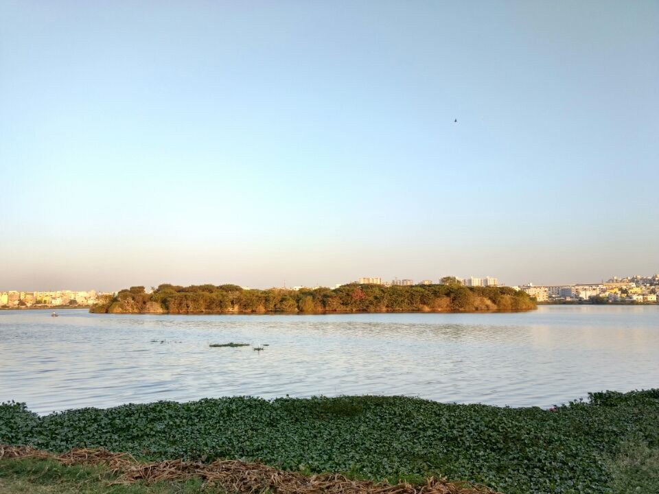 Madiwala Lake in South Bangalore: A Guide to Reach BTM Lake by Tripoto