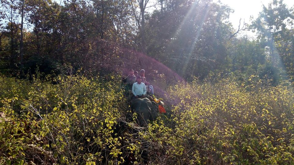 Photo of A solo Trip to Rishikesh- My rendezvous with freedom 4/5 by Piyuri Sahu