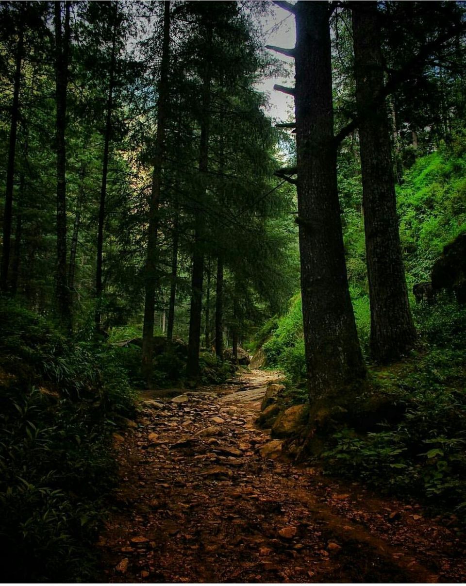 Photo of Fabulous Trip to Mini-Israel(Kasol) - Piyuri Sahu - Medium by Piyuri Sahu