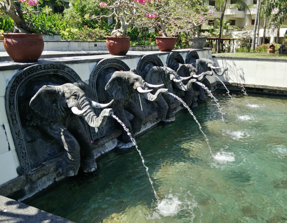 Photo of Nomad Chronicles – Bali Most Wanted 5/13 by nomadchronicles