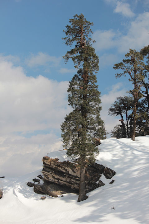 Photo of Nomad Chronicles - Brahmataal Trek 13/14 by nomadchronicles