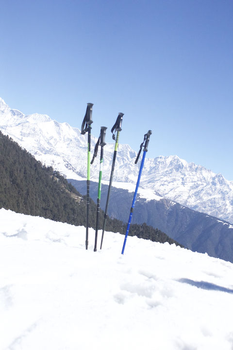 Photo of Nomad Chronicles - Brahmataal Trek 6/14 by nomadchronicles