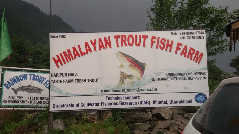 Photo of Himalayan trout fish farm, Soil, Himachal Pradesh, India by Niyati Mavinkurve